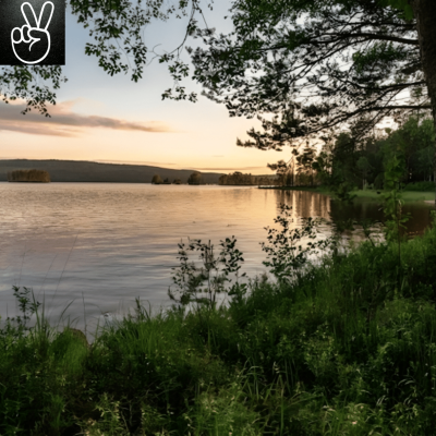 Sommaren i Avesta & Horndal – tips för dig som bor hos Investa